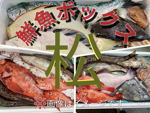 松コース 【年明け発送】船頭にお任せ！鮮魚ボックス（詰め合わせ）海鮮セット