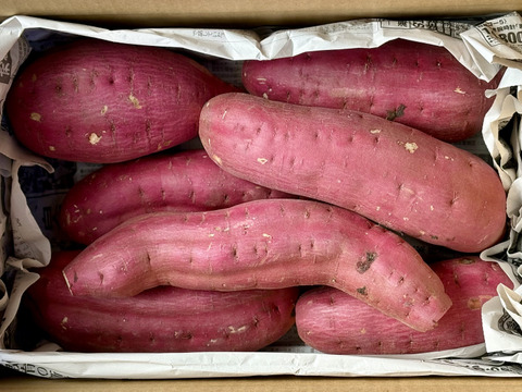 【訳あり】どすこいサイズ「紅はるか」 5キロ箱