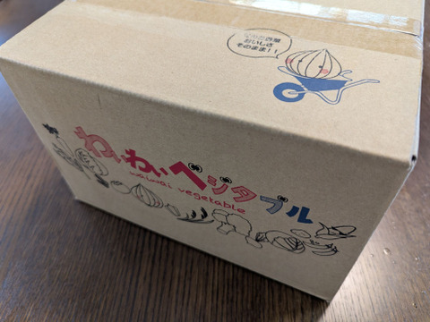 大地の恵み！淡路島完熟玉ねぎ🧅【シャーロットオニオン　輝玉（キラ玉✨）】(3kg)