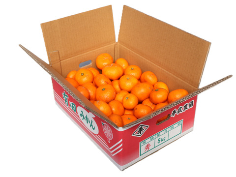 【冬ギフト】【予約割引中】農家直送！完熟有田みかん 訳あり5kg　～蛍飛ぶ町から旬の便り～　和歌山｜有田｜田口｜ギフト｜こだわり