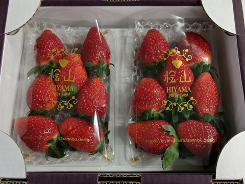 茨城県オリジナル品種 ２パック×１箱【いばらキッス】☆12月下旬お届け☆