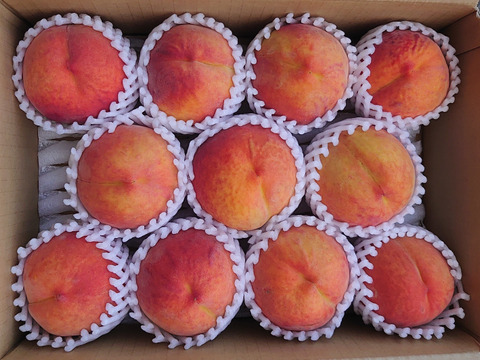 シャキシャキ歯ごたえ！！ワッサー3kg