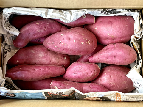 訳ありでもホックリサラリ！新品種「ゆきこまち」色々なサイズ入り  5キロ箱