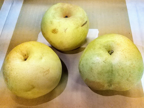 【家庭用!!お買い得!!】かおり 3kg (6玉前後)