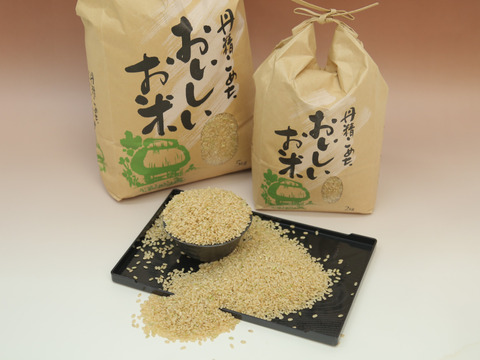 【在庫一掃】 令和6年新米 玄米10kg 淡路島産：兵庫県産のお米 コシヒカリ 米・雑穀・粉類