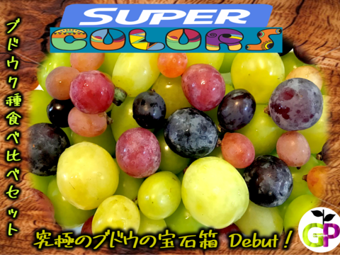 究極のブドウの宝石箱　7種食べ比べ『SUPER COLORS スーパーカラーズ』750g×1P　朝採り新鮮！夏の終わりのブドウ祭り 只今２０％増量サービス中！！
