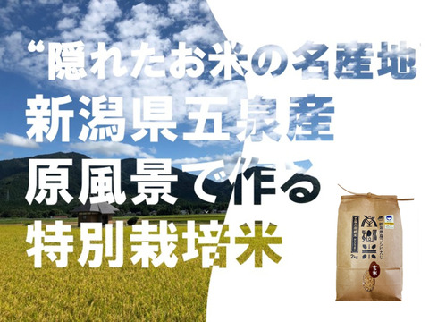 年末年始特別値引き！ 令和７年  特別栽培米''隠れたお米の名産地''新潟県五泉産コシヒカリ100%「南郷米」玄米2kg×3袋
