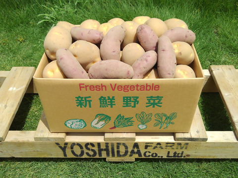 高級ジャガイモ　特売　20kg 20キロ 01 高級ジャガイモ 特売 20kg 20キロ 01