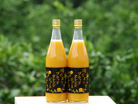 【希少！国産ブラッドオレンジ使用】陽だまりファーム　ブラッドオレンジジュース 　ストレート 100% （720ml×1本）