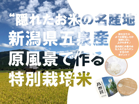 特別栽培米のパックごはん150g×12個 新潟県五泉産コシヒカリ100%