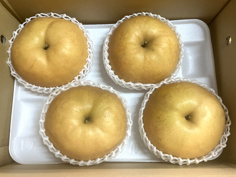 【冬ギフト】鳥取県産 あたご梨 約4kg