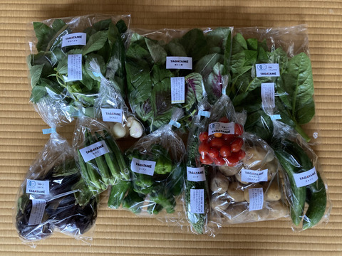 【旬を楽しむ♪】おまかせお野菜セットA（約7～10品）
通年お野菜を切らすことなく栽培しているタガタメはいつでも注文可能です☺︎
20時までのご注文で翌日発送！