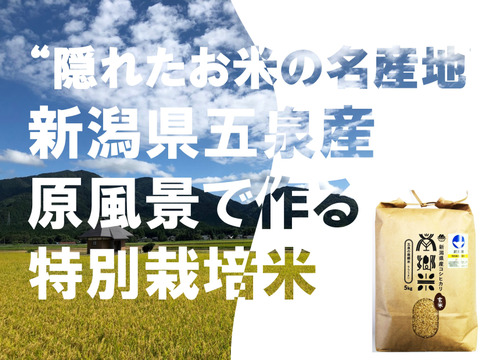 ＊特別栽培米【R5年産】''隠れたお米の名産地''新潟県五泉産コシヒカリ100%「南郷米」玄米5kg