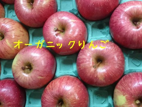 オーガニックりんごと他品種詰め合わせ3キロ（８〜１２玉）