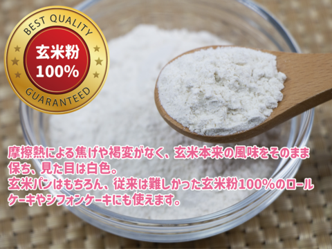 パン ピザ 業務用 玄米粉 ミズホチカラ 20㎏ 米粉 大量 国産 国内産 米粉パン 食パン グルテンフリー パンケーキ ピザ生地 岡山 蒜山高原産