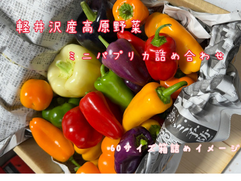 【 早期予約割 】完熟 ！カラフルミニ パプリカ 軽井沢 産高原野菜 カラフル ミニパプリカ １kg 詰め合わせセット