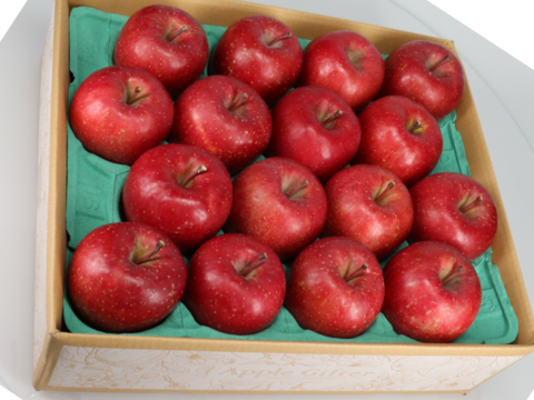 【11月発送】人気No.1！毎日食べたい！サンふじ（ギフト用5kg・14~20玉）