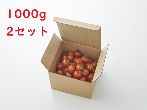 [定価5400円より20%OFF！]トマト好きが、恋をする。　1000ｇ×2　金赤トマト　ﾐﾆﾄﾏﾄ