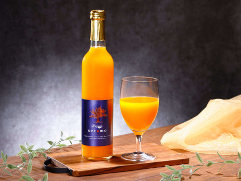 【母の日ギフト】 プレミアムみかんジュースギフトセット 500ml×2本