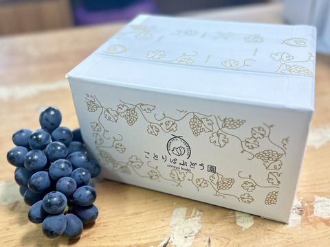 【家庭用】即発送！７月末発送 果汁たっぷり！あづましずく1kg2~3房