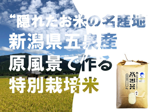 ＊特別栽培米【R5年産】''隠れたお米の名産地''新潟県五泉産コシヒカリ100%「南郷米」精米20kg
