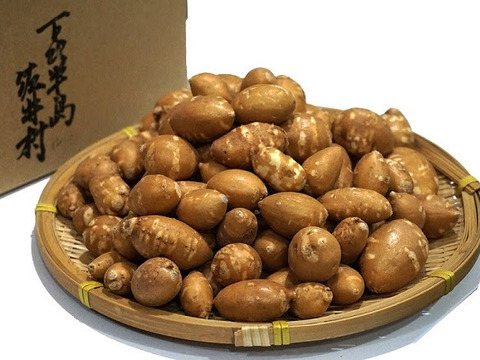 寒さに耐えて甘くなった アピオス2kg 1 2月限定 おすすめの食べ方付き 青森県産 食べチョク 農家 漁師の産直ネット通販 旬の食材を生産者直送 寒さに耐えて甘くなった アピオス2kg 1 2月限定 おすすめの食べ方付き 青森県産 食べチョク 農家 漁師の産直ネット通販 旬の食材を生産者直送