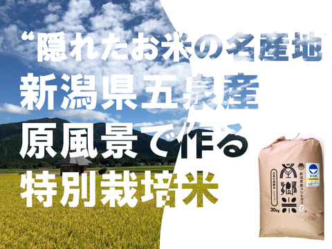 ＊特別栽培米【R5年産】''隠れたお米の名産地''新潟県五泉産コシヒカリ100%「南郷米」精米30kg(擦切り）