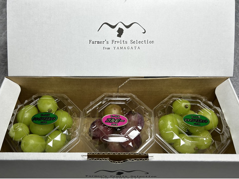 お楽しみぶどう粒200gx3パック詰めシャインマスカット☆ピオーネ☆ゴルビー☆マイハート【訳ありご家庭用】