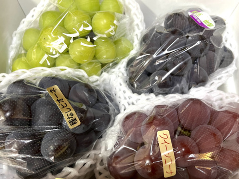 【福袋2025】3~5品種お楽しみ♪ ぶどう詰め合わせ＜シャイン1房は確約＞