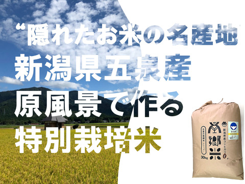 ＊特別栽培米【R5年産】''隠れたお米の名産地''新潟県五泉産コシヒカリ100%「南郷米」玄米30kg