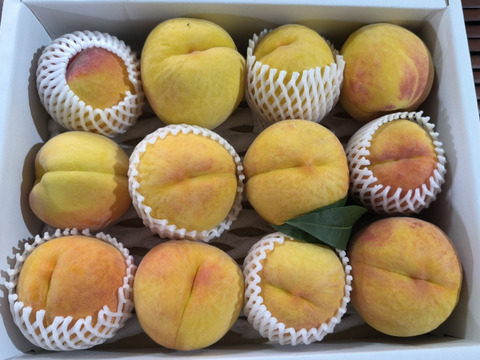信州生まれのジューシーなワッサー！　
固い桃の好きな方、
やみつき間違いなしの味。
（12個　3.5Kg）
(近距離、カード限定）