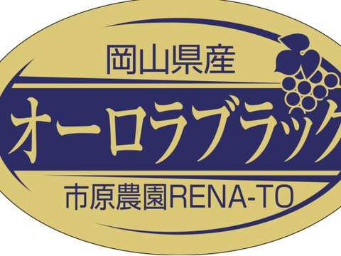 岡山県産【訳あり✨2色セット💚🖤】タイム価格✨シャインマスカット&オーロラブラック2kg