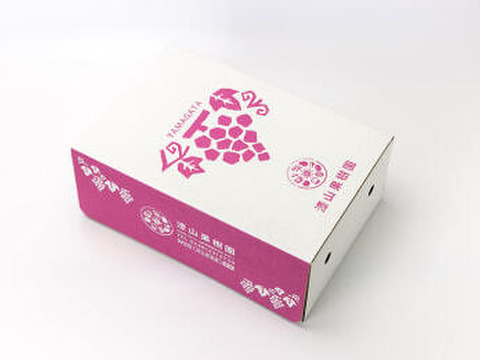 【母の日ギフト】無加水、紅茶仕立てのベーグル6個＆小麦のケークサレ6個セット