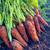 販売終了🧑‍🌾皮ごと食べれる❗️あま〜いさんぶにんじん🥕（4.5〜5kg）