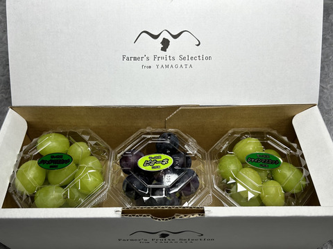 お楽しみぶどう粒200gx3パック詰めシャインマスカット☆ピオーネ☆ゴルビー☆マイハート【訳ありご家庭用】