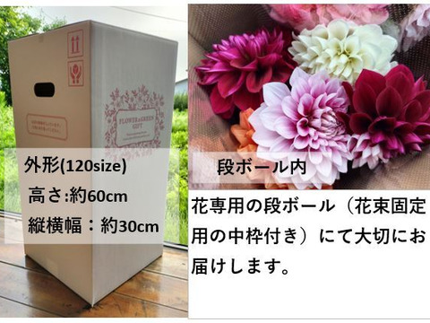 ダリア 彩り鮮やか！心華やぐ麗しき花！〈10本〉