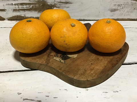 採れたてお届け！清見オレンジ1kg&爽やか八朔1kgセット【農薬不使用】