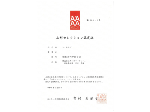 【先行予約割引】【農林水産大臣賞受賞園地】 【山形セレクション認定品】 さくらんぼ 紅秀峰 特秀品 2Lサイズ以上 600g オリジナルギフト箱 B-01-01