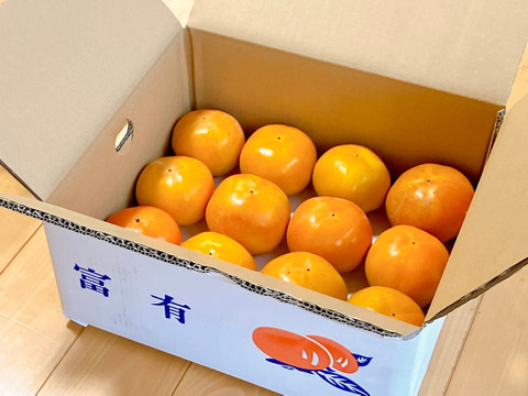 【贈答用】甘さ自慢の富有柿３kg（12個）　大山くろぼく土＆酵素発酵有機肥料育ち