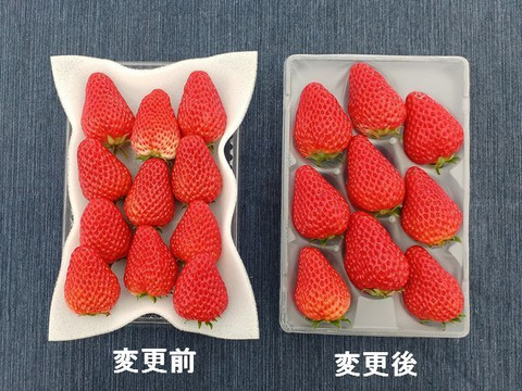 【静岡県産いちご】　紅ほっぺ　ＤＸ　280g×4パック