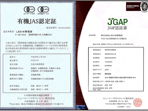 Fresh Vegetable Box, Organic JAS and Kosher certified, Shiawase vegetable garden *8-10pcs in a box