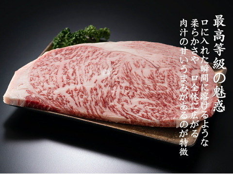 A5ランク！北海道十勝産黒毛和牛「サーロインステーキ」　300ｇ