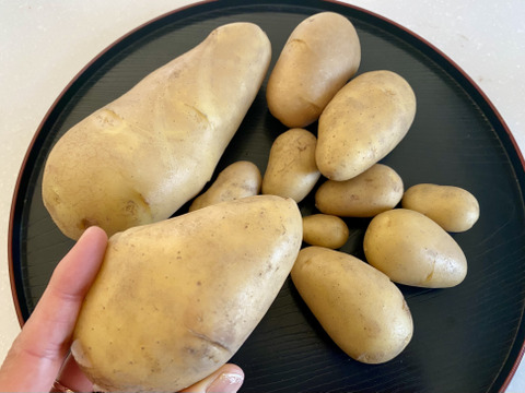 お得！【訳アリ】メークイン箱込4ｋｇ（本州の方限定）