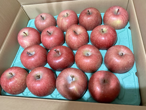 【販売開始！人気商品】青森県産りんご「サンふじ」家庭用 キズ有 約10kg(5kg×2箱) 【美味・光センサー選果済】