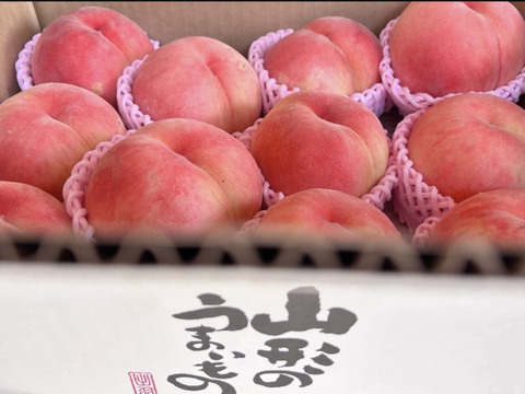 硬め好きな方に‼️シャキッと美味しい山形県産白桃おどろき【食べきり3