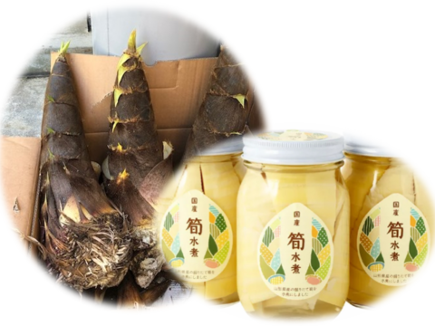 【期間限定】『タケノコの水煮×３本セット』【送料相当分値引き中】＿4月まで
