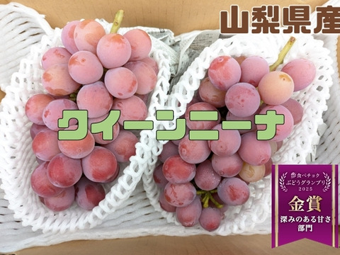🏆食べチョクぶどうグランプリ2025金賞🏆🍇【山梨県笛吹市産】クイーンニーナ 約1.2kg🍇 ～果実の宝石、濃厚な甘みと華やかな香り～贈答　ギフト　家庭用にも