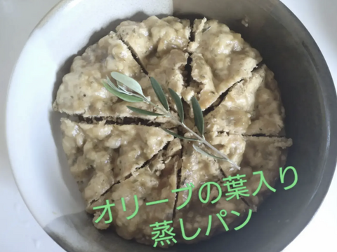 オリーブ生葉300枚  オリーブリーフ🌿オーガンジー袋入り🌿葉っぱ部のみ🌿オリーブ茶 オリーブティー ハーブティー 🏣ゆうパック