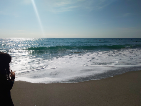 Lサイズ　　細め　　７本
✨️濃厚な甘み✨️の理由は
🌊太平洋🌊からのミネラルたっぷりの
✨️🌊海風🌊✨️
