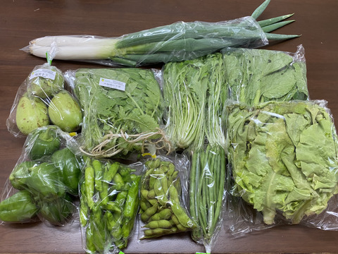 信州夏野菜セット【10品目】